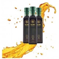 Sehat Berkah Madu Asli